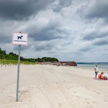 Prora - Ferienwohnung Mit Privater Dachterrasse Und Ostseeblick - Meerblick Apartmán Binz